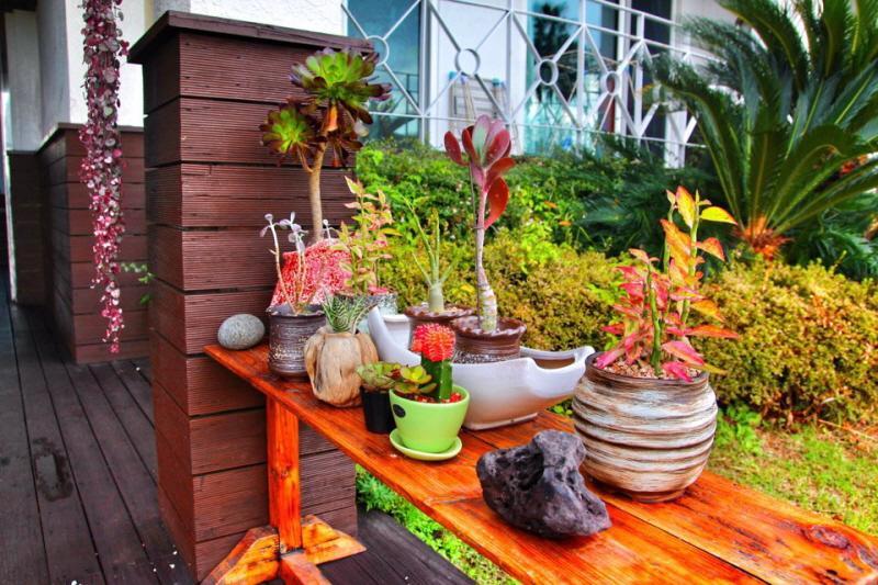 Jeju Land Pension Seogwipo Exterior foto